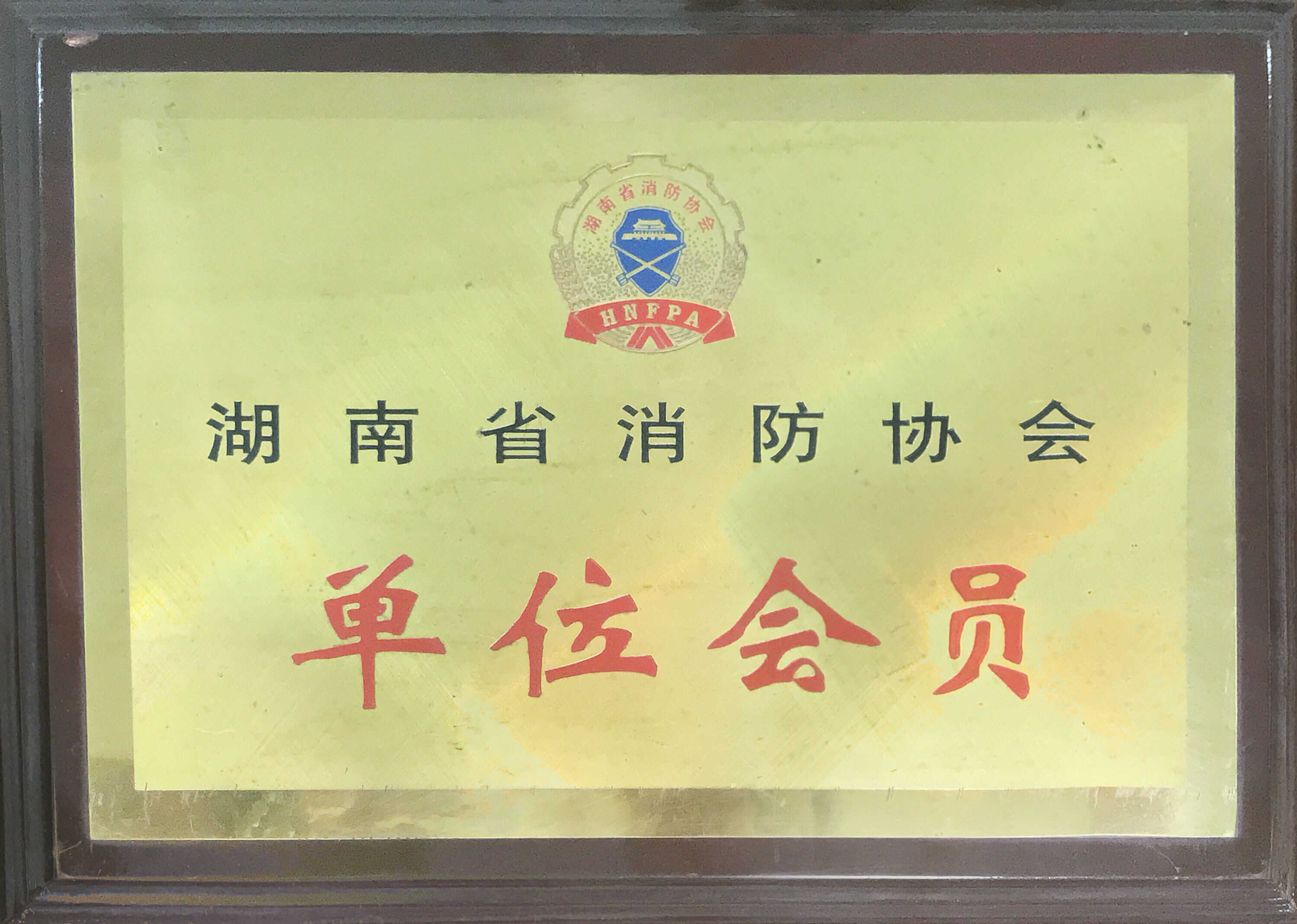 湖南省消防协会单位会员